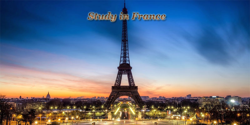 Studies in France